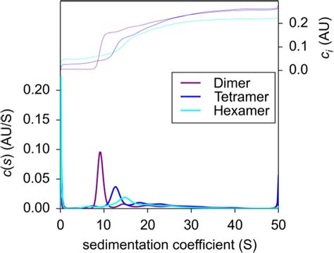 Sedimentation coefficient distributions c(s) for dimer, tetramer and ...