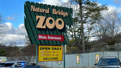 4-day trial begins to decide fate of dozens of Natural Bridge Zoo ...