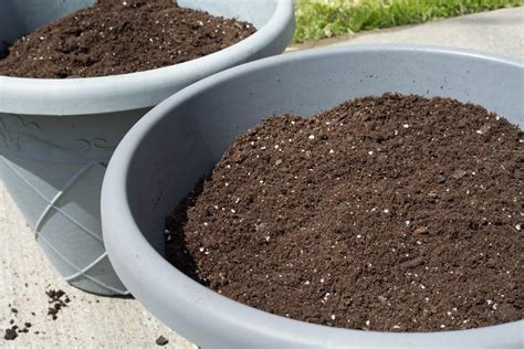 Potting Soil Types Explained: Get Your Mix Right For Healthy Plant ...