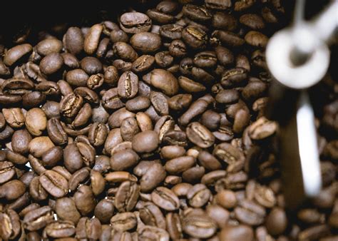 Coffee – Everyday Gourmet Coffee Roasters