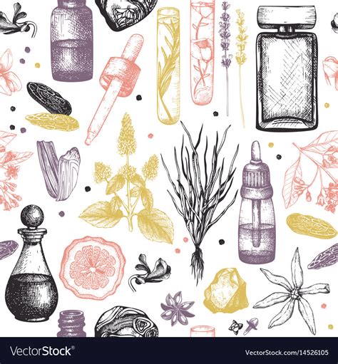 Organic and floral perfume ingredients background Vector Image