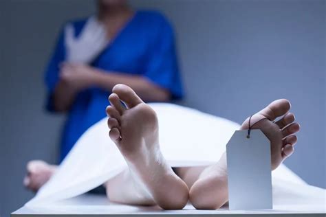 Morgue Stock Photos, Royalty Free Morgue Images | Depositphotos