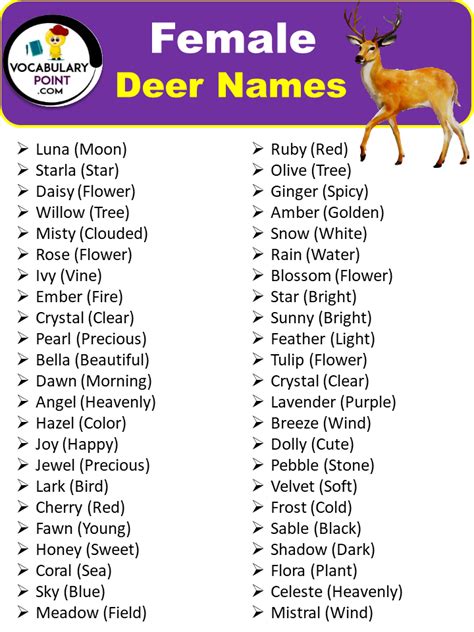 300+ Best Deer Names (Pet, Cute & Cool) - Vocabulary Point