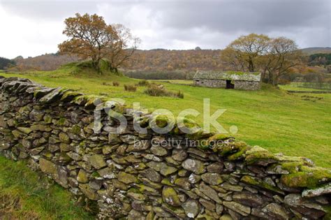 Countryside - Lake District N.P. Stock Photo | Royalty-Free | FreeImages