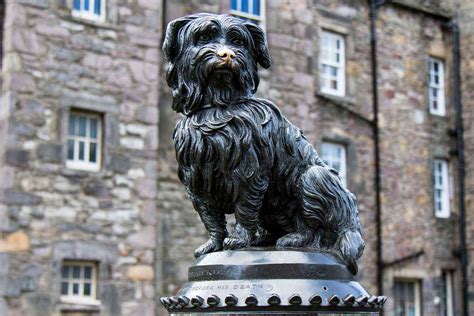 Memorable Mutts: 11 Dogs Monuments Around the World – Fodors Travel Guide