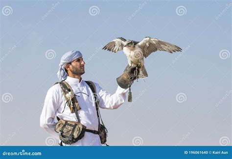 Falconer is Training Peregrine Falcon in a Desert Near Dubai Editorial ...