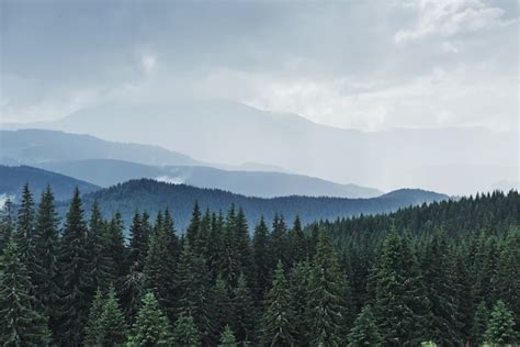 Free Photo | Scenic mountains landscape after rain. Carpathians of Ukraine.