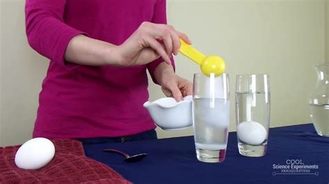 Floating Egg Science Experiment