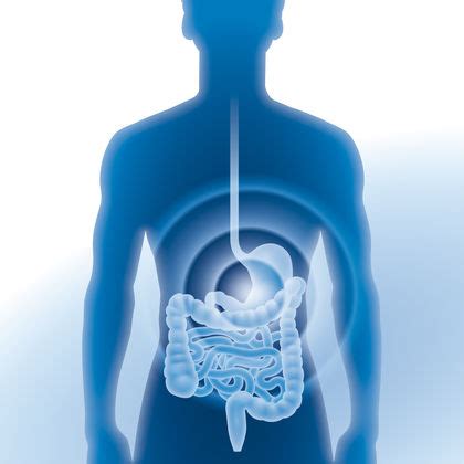 Ileus - symptoms, Definition, Description, Demographics, Causes and symptoms, Diagnosis, Treatment