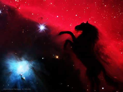 🔥 [40+] Horse Nebula Wallpapers | WallpaperSafari