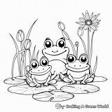 Pond Animals Coloring Pages  Free & Printable sketch template