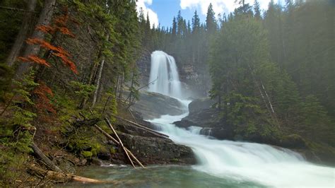 Glacier National Park in Kalispell, Montana | Expedia