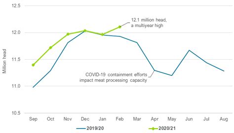 Cattle Feed Analysis Chart