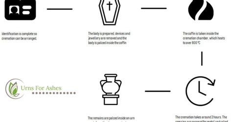 How much ashes are left after cremation?- Justhighstone