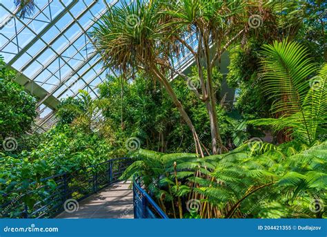 Bicentennial Conservatory at Botanic Garden in Adelaide, Australia ...