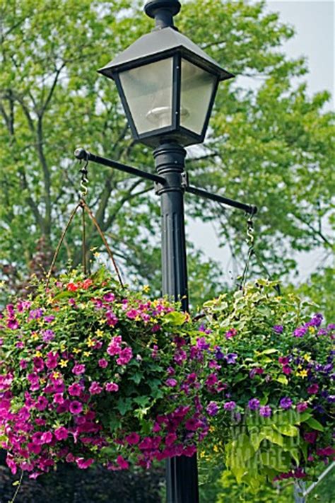 JLY1080- HANGING BASKETS ON LAMP POST : Asset Details -Garden World Images