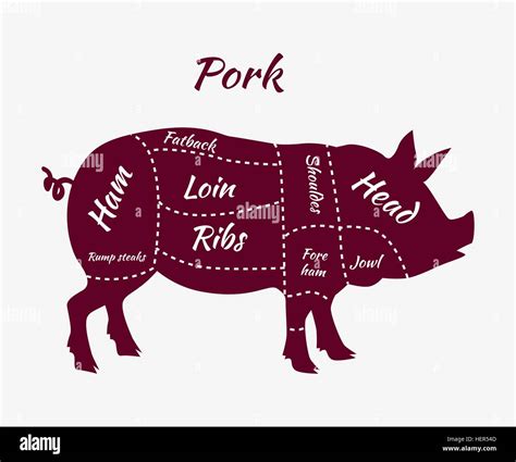 American US Cuts of Pork. Pork or pig cuts. American US cuts of pork. Pork Cuts Barbecue vector ...