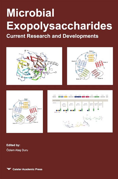 Microbial Exopolysaccharides: Current Research and Developments