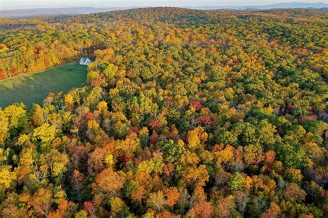 Here's when you can expect fall foliage in Connecticut this year