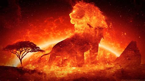 Lion Fire Wallpapers - Wallpaper Cave