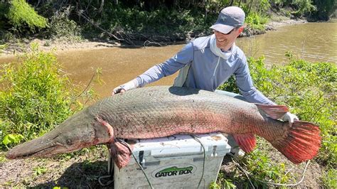 Kentucky man reels in likely world-record alligator gar from Texas river | Fox Weather