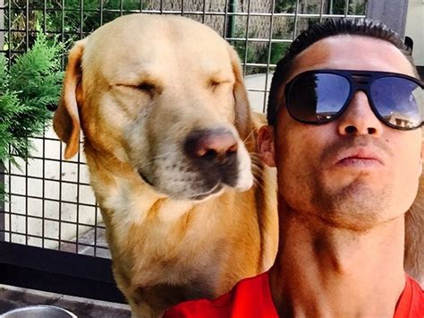 Lustiges Selfie: So cool ist Cristiano Ronaldos Hund | Promiflash.de