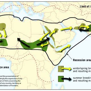 2.4 The life cycle of the desert locust. | Download Scientific Diagram