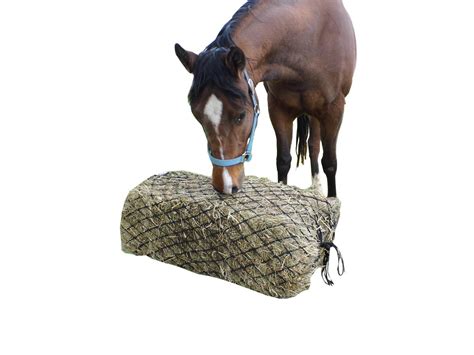 5 Best Horse Feeds On The Market | Pets Life