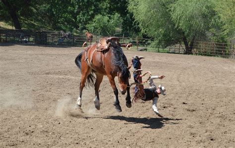 What does it Mean When a Horse is Bucking?