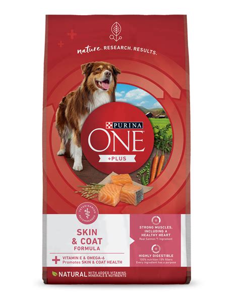 What Vitamins Are Good For Dogs Skin And Coat