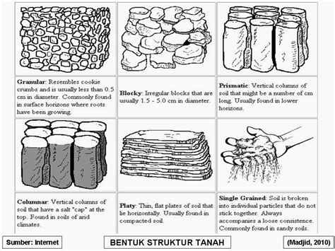 DUNIA IPS: Pengertian struktur tanah