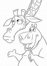 Madagascar Melman Coloring Pages sketch template