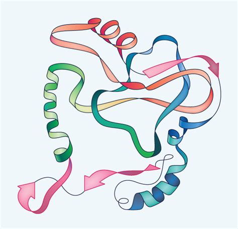 Fats and Proteins | Biology | Visionlearning