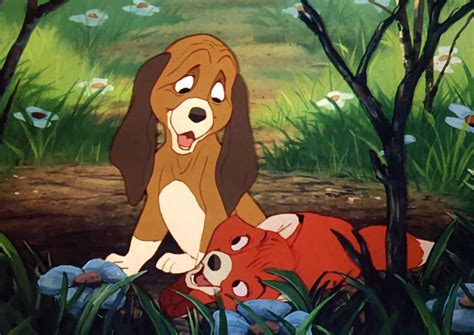 WATCH: Real Life 'The Fox And The Hound' Best Friends