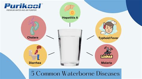 Waterborne Diseases that can be avoided by Drinking Clean Water – Purikool