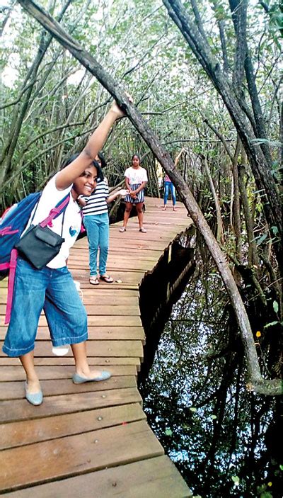 Beddagana Wetland Park | The Sunday Times Sri Lanka