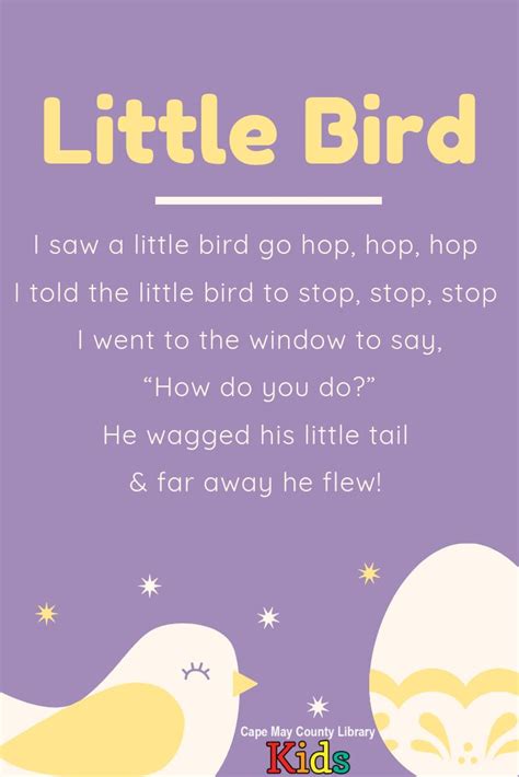 Little Bird | Kindergarten songs, Classroom songs, Songs for toddlers