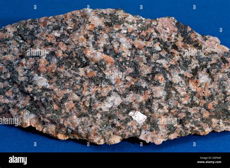 Specimen of Granodiorite igneous rock from loch Sunart Stock Photo: 67944871 - Alamy