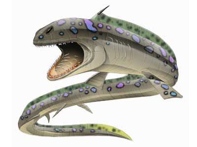 Orthacanthus Arcuatus. in 2020 | Prehistoric animals, Prehistoric creatures, Freshwater sharks