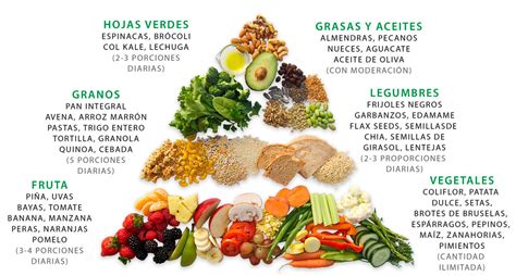 Alimentación vegana: beneficios y recomendaciones