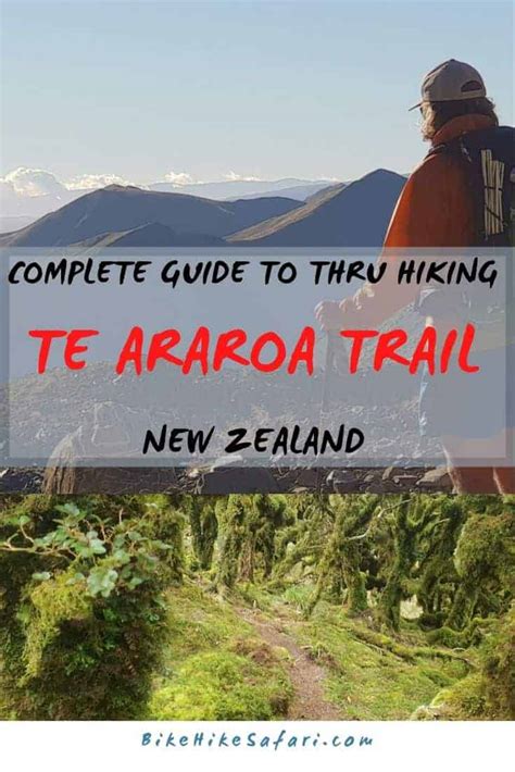 The Complete Te Araroa Trail Blog - BikeHikeSafari