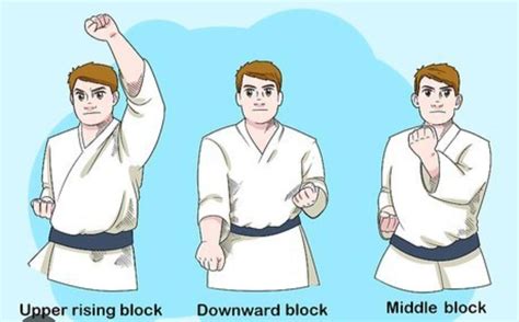 Karate blocks (basic) 🥋 : r/Martial_Arts_History