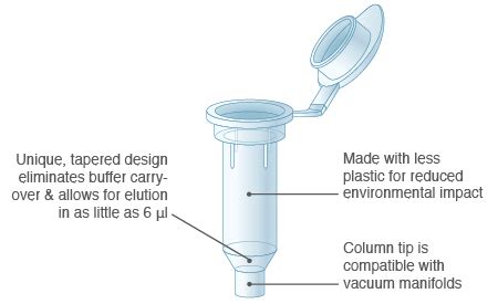 DNA Gel Extraction | NEB