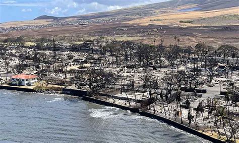 Hawaii Chapter Steps Up to Help After Maui Wildfires | Social Work Blog