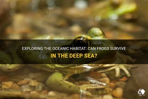 Exploring The Oceanic Habitat: Can Frogs Survive In The Deep Sea? | PetShun