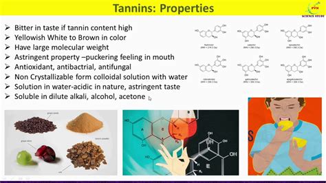 Tannins Introduction, Types, Sources, Properties, Uses/Tannin Secondary ...