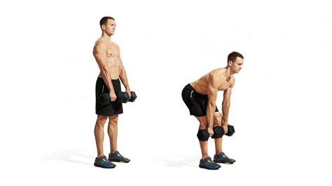 Stiff Leg Dumbbell Deadlift: How To, Benefits, Muscles Worked