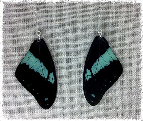 Real Butterfly Wing Jewelry Butterfly Wing Earrings Teal Gold Earrings Boho Chic Earrings Nature ...