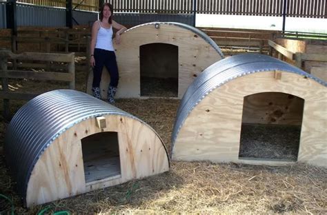 Pig Arks - The Accidental Smallholder | Pig farming, Goat shelter, Goat house