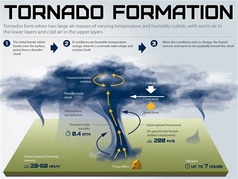 Tornado Anatomy | Tornado formation, Tornadoes, Weather words